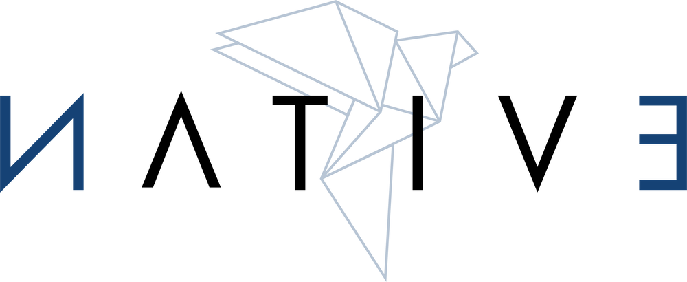Native – Sottodominio